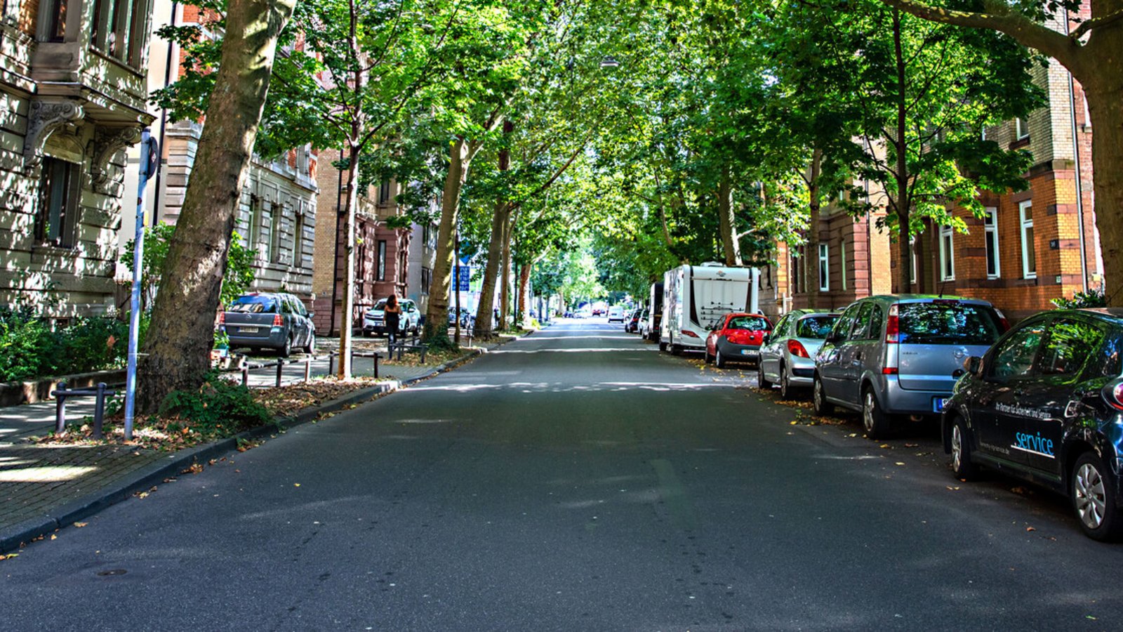 An dieser Straße in Bad Cannstatt sieht man, wie effektiv große Bäume ein Quartier verschatten können.Foto: Lichtgut/Christoph Schmidt