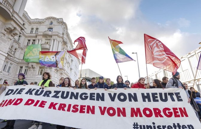 Protest gegen Kürzungspläne der Regierung in Wien: Studenten protestieren gegen die Kürzungspläne der Regierung.<span class='image-autor'>Tobias Steinmaurer/APA/dpa</span>