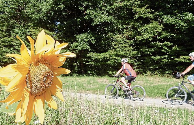 Natur pur erleben bei der 38. S-VKZ-Tour. Am Samstag um 10 Uhr geht es los. Foto: Arning