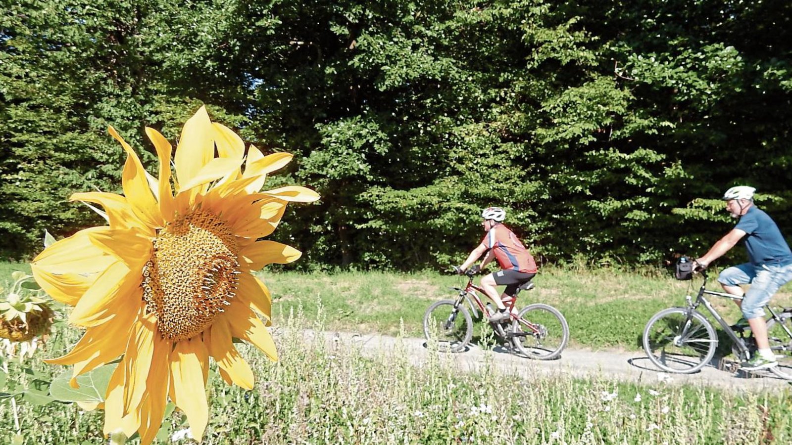 Natur pur erleben bei der 38. S-VKZ-Tour. Am Samstag um 10 Uhr geht es los. Foto: Arning
