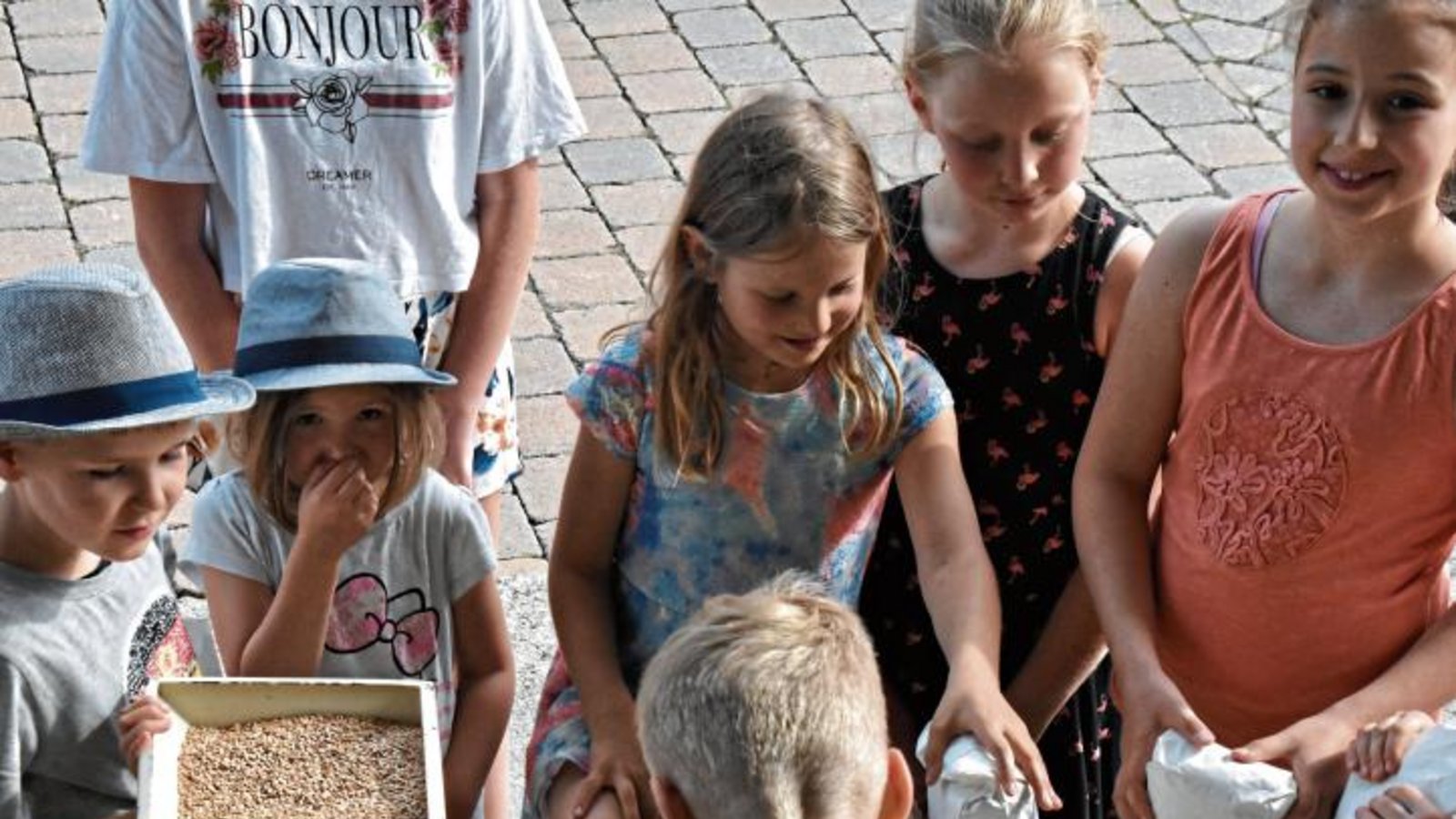 Kinder mahlen beim Mühlentag in der Fessler Mühle.  Fotos: p