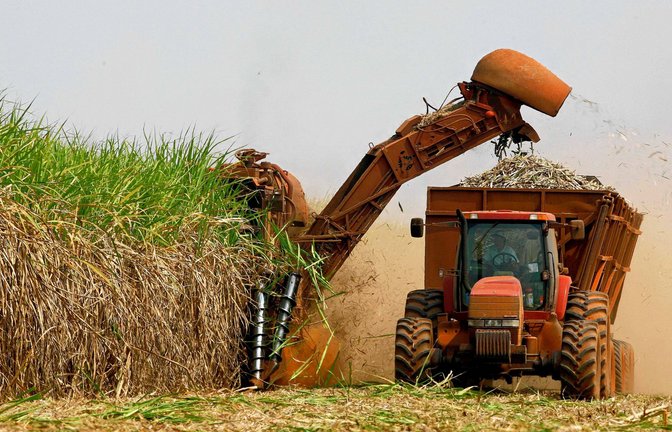 Über 80 Prozent der deutschen Bio-Ethanol-Produktion kommt aus Futtergetreide.<span class='image-autor'>Foto: dapd/Andre Penner</span>