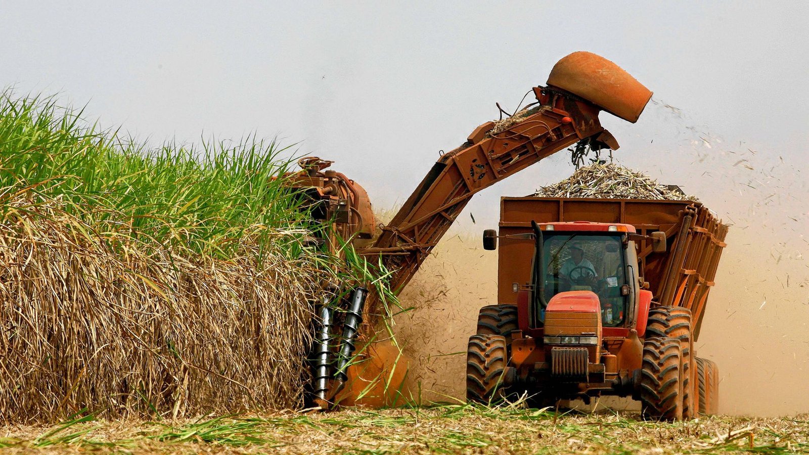 Über 80 Prozent der deutschen Bio-Ethanol-Produktion kommt aus Futtergetreide.Foto: dapd/Andre Penner Über 80 Prozent der deutschen Bio-Ethanol-Produktion kommt aus Futtergetreide.Foto: dapd/Andre Penner