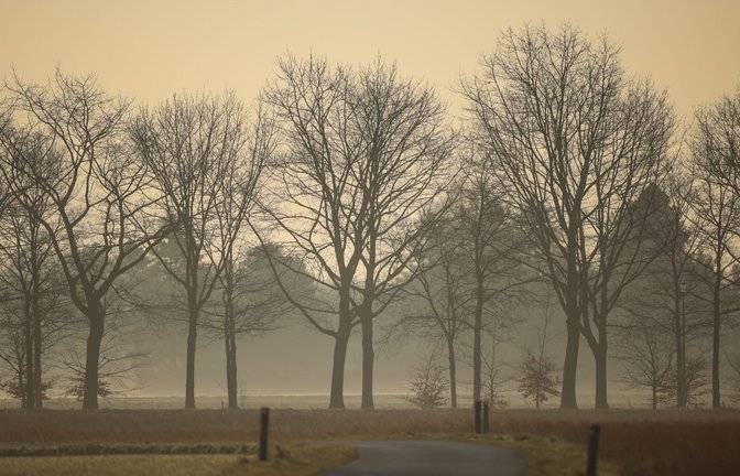 Saharastaub am Morgenhimmel.<span class='image-autor'>Foto: Christoph Reichwein/dpa</span>
