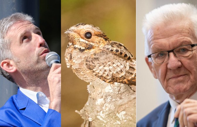 Tübingens OB Boris Palmer (li.) hat sich mit einem Brief an Ministerpräsident Winfried Kretschmann gewandt. Grund ist der stockende Klinikausbau wegen der gefährdeten Vogelart mit dem Namen Ziegenmelker.<span class='image-autor'>Foto: imago/Chris Emil Janßen</span>