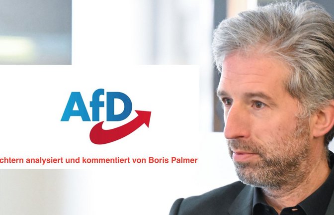„Nüchtern analysiert und kommentiert“ – so wirbt Boris Palmer auf Facebook für seine Erklärserie zum AfD-Wahlprogramm.<span class='image-autor'>Foto: dpa/Bernd Weißbrod, Facebook-Profil Boris Palmer</span>
