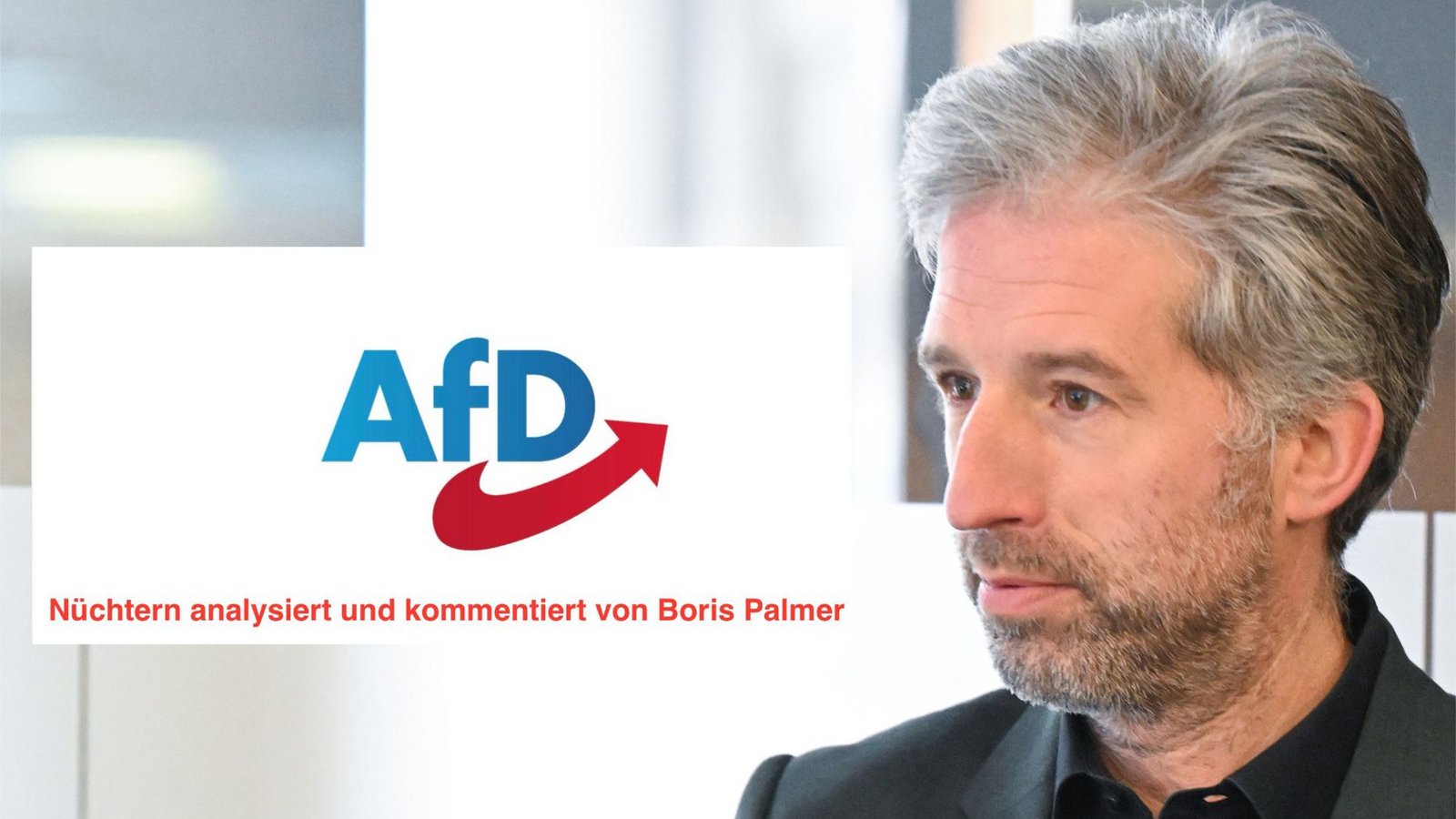 „Nüchtern analysiert und kommentiert“ – so wirbt Boris Palmer auf Facebook für seine Erklärserie zum AfD-Wahlprogramm.Foto: dpa/Bernd Weißbrod, Facebook-Profil Boris Palmer