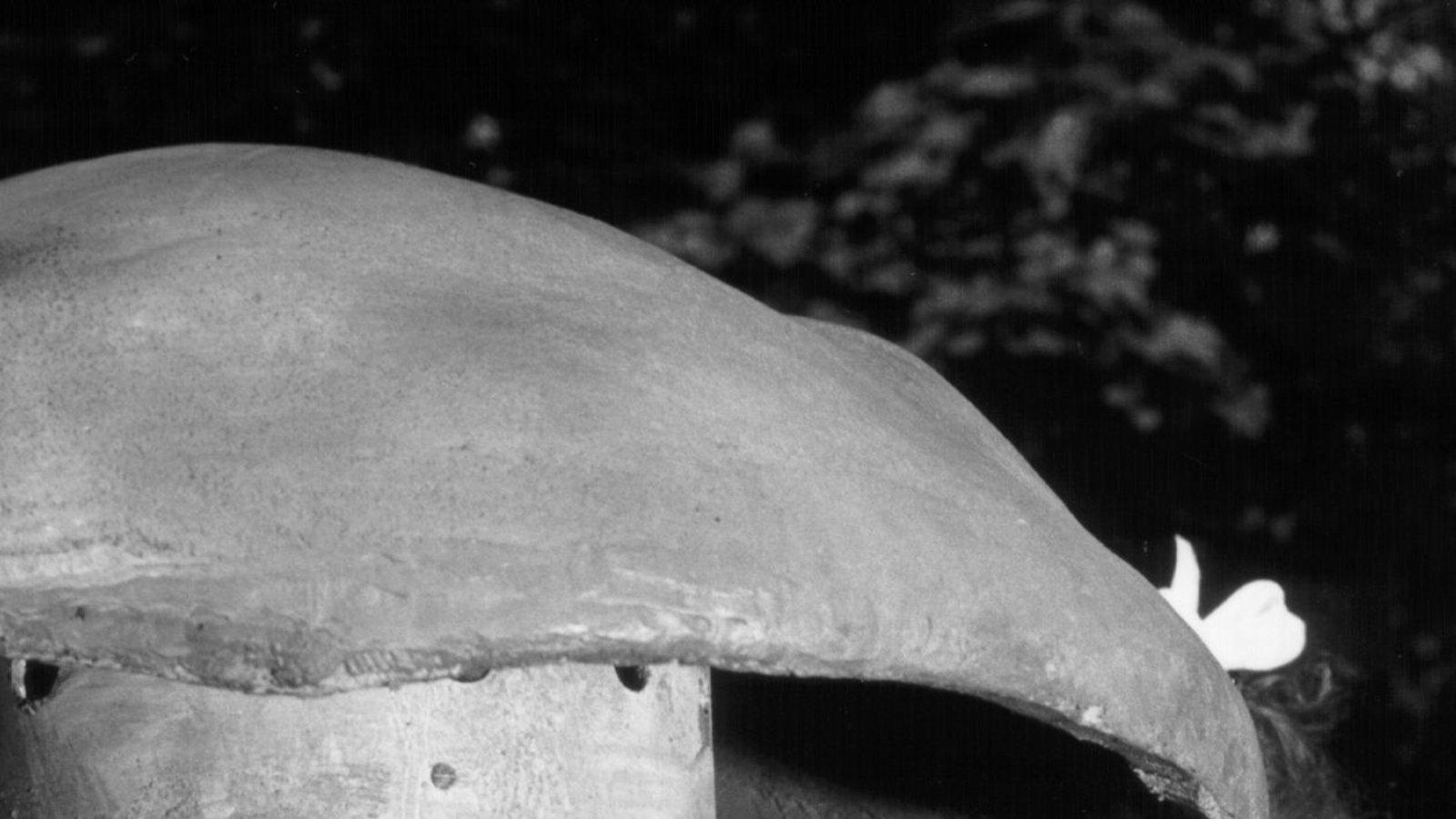 Auch die Musikpilze spielten schon damals ihre Melodien.Foto: Blühendes Barock