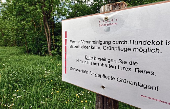 Wegen übermäßig viel Hundekot werden im Sachsenheimer Stadtgebiet einige Grünflächen nicht mehr gemäht, so wie hier in der Klingenstraße im Ortsteil Hohenhaslach.  Foto: Kalb