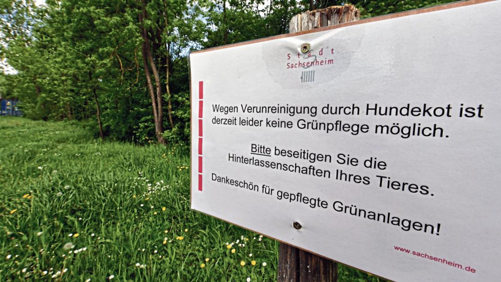 Wegen übermäßig viel Hundekot werden im Sachsenheimer Stadtgebiet einige Grünflächen nicht mehr gemäht, so wie hier in der Klingenstraße im Ortsteil Hohenhaslach.  Foto: Kalb