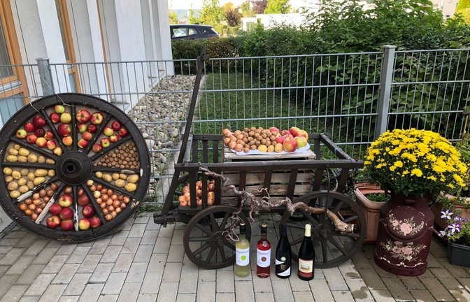 Herbstdekoration auf einer Terrasse des Karl-Gerok-Stifts in Vaihingen.  <span class='image-autor'>Foto: Rössler</span>