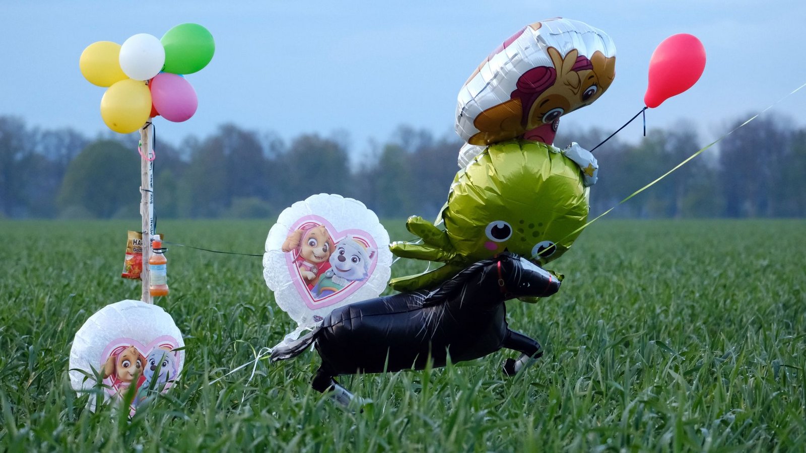 Ballons und Süßigkeiten stehen auf einem Feld bei Bremervörde. Von einem vermissten sechs Jahre alten Jungen aus dem niedersächsischen Bremervörde fehlt noch immer jede Spur.Foto: Markus Hibbeler/dpa