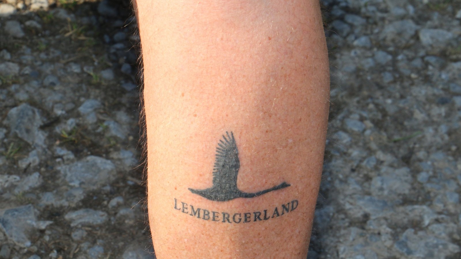 Bei Horst Mäule aus Roßwag geht die Liebe zum Lembergerland unter die Haut, das zeigt die Tätowierung an der Wade. Der Rubbeltest am Rande des 401-Stäffele-Teamlaufs überzeugte davon, dass das Tattoo echt ist. Groß muss auch die Liebe zum Wein bei den Gewinnerteams sein, denn dort werden die schwersten Teilnehmer mit Wein aufgewogen. Bertram Haak, Markenbeauftragter der Lembergerland Kellerei, meldet die Flaschenanzahl: Siegerteam Frauen: 88 Flaschen Wein, sie durften zu zweit auf die Waage. Siegerteam Männer: 88 Flaschen, Siegerteam Mixed 83. Na dann: Prost. Foto: Rücker