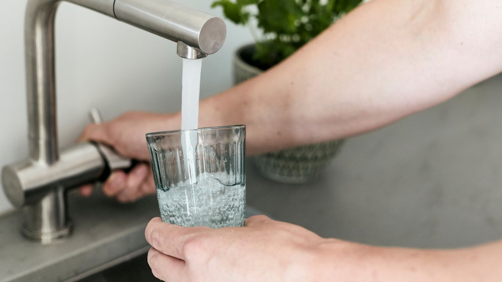 Legionellen im Trinkwasser können schwere Infektionen auslösen. Foto: Adobe Stock