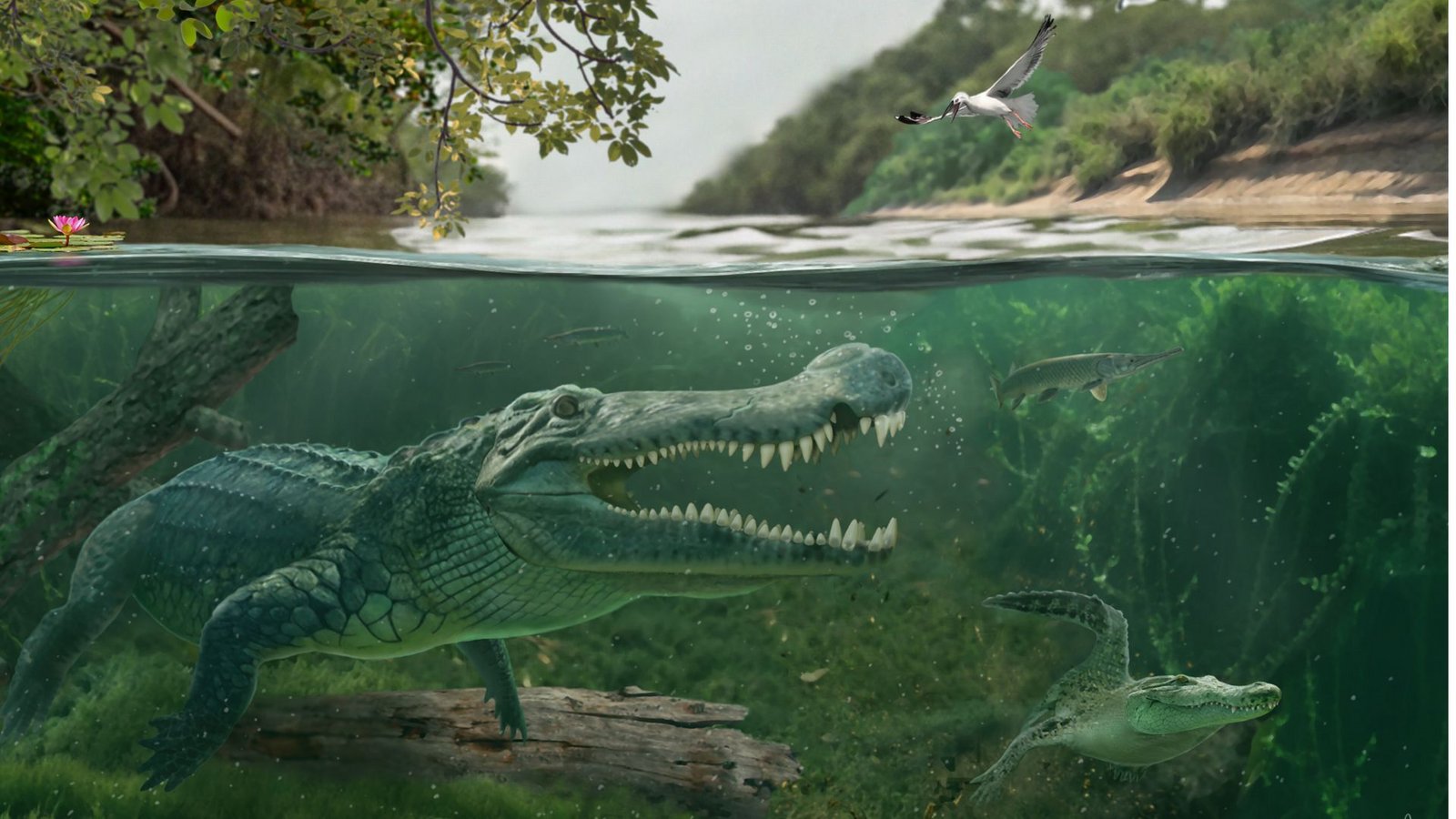Spätkreidezeitliche Begegnung in den südwestlichen Küstensümpfen der Western Interior Seaway: Links Deinosuchus riograndensis, rechts ein früher AlligatoroideFoto: Márton Szabó/Universität Tübingen
