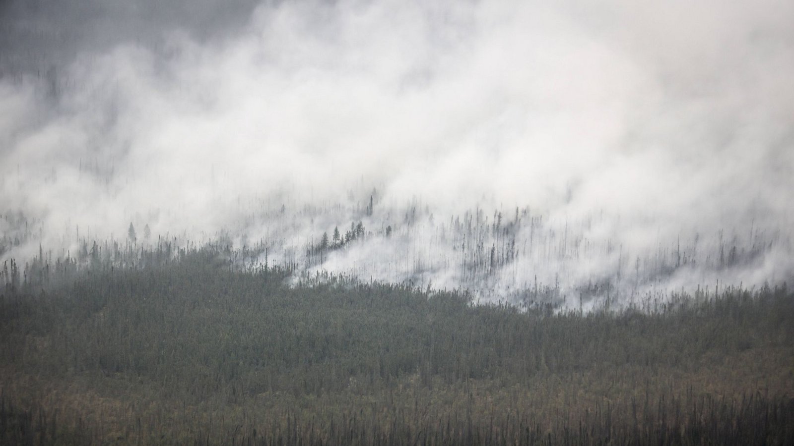 In Kanada wüten derzeit noch mehr als 650 Brände. (Archivbild)Foto: IMAGO/ZUMA Press/Jeff Mcintosh In Kanada wüten derzeit noch mehr als 650 Brände. (Archivbild)Foto: IMAGO/ZUMA Press/Jeff Mcintosh