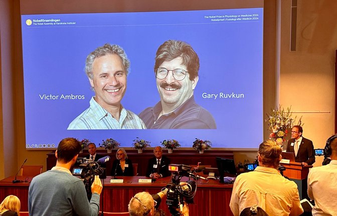 Das schwedische Nobelkomitee zwei US-Forscher aus.<span class='image-autor'>Foto: dpa/Steffen Trumpf</span>