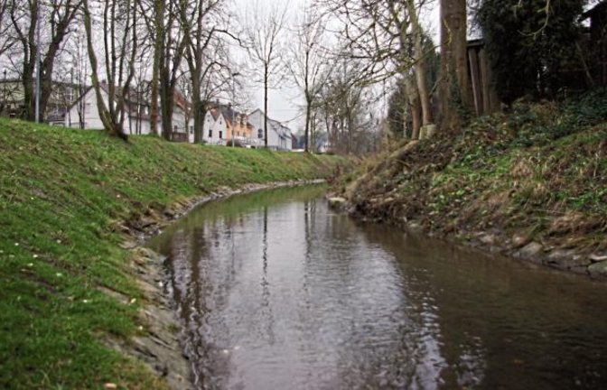 Der Hochwasserschutz für Illingen wird seit Jahren diskutiert.  Foto: Romanowski