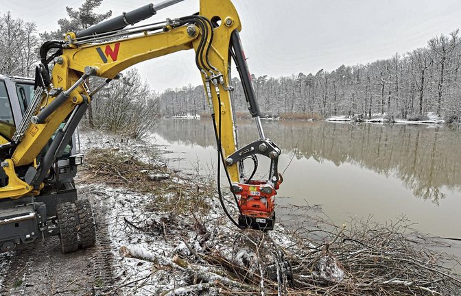 Die Bäume am Damm des Heiligenbergsees in Häfnerhaslach sind bereits weg. Als Nächstes werden die Wurzeln entfernt. Foto: Kalb