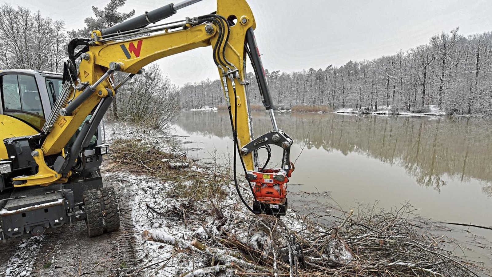 Die Bäume am Damm des Heiligenbergsees in Häfnerhaslach sind bereits weg. Als Nächstes werden die Wurzeln entfernt. Foto: Kalb Die Bäume am Damm des Heiligenbergsees in Häfnerhaslach sind bereits weg. Als Nächstes werden die Wurzeln entfernt. Foto: Kalb