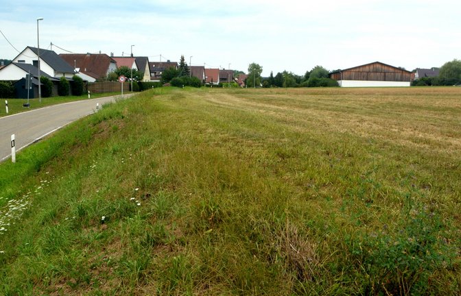 Die Erschließungsarbeiten in Schützingen können bald beginnen. <span class='image-autor'>Foto: Stahlfeld</span>
