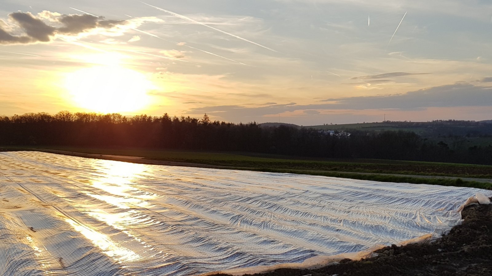 Besonderes Bild vom Sonnenuntergang in der Nähe des Berghofs in Enzweihingen von Martin Janson.