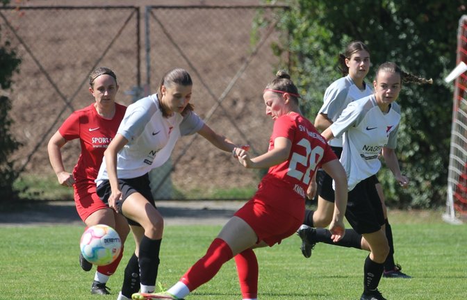 Fussball, Frauen, SV Horrheim, Regionenliga 2, SV Winnenden, Jule Marie Götz (mitte), Foto: Dittrich