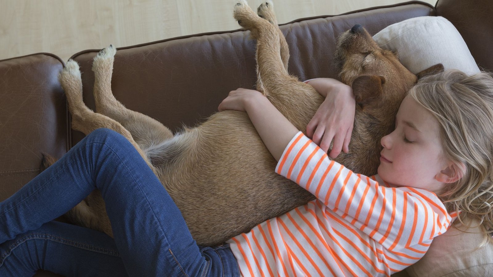 Tiere können in schweren Momenten halt geben. Davon erzählen auch zwei neue Bücher für Kinder und Jugendliche.Foto: IMAGO/Panthermedia Tiere können in schweren Momenten halt geben. Davon erzählen auch zwei neue Bücher für Kinder und Jugendliche.Foto: IMAGO/Panthermedia