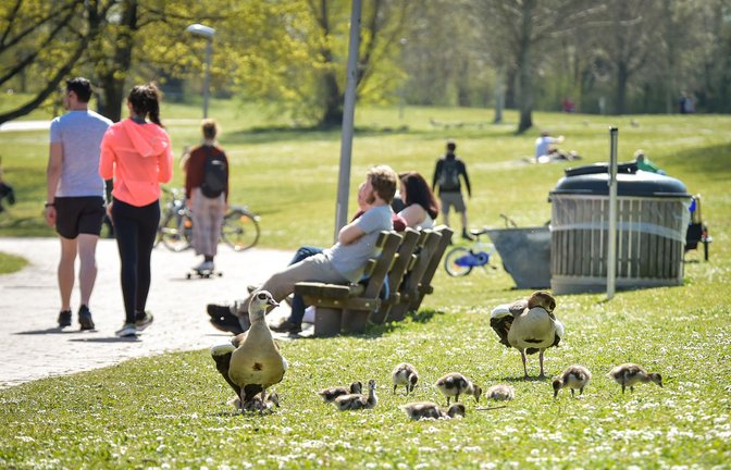 Für den 1. Mai wird freundliches Frühlingswetter immer wahrscheinlicher (Symbolbild).<span class='image-autor'>Foto: Lichtgut - Ferdinando Iannone</span>