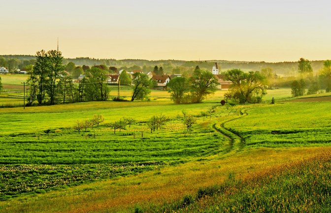 Schön ruhig hier – wenn nicht gerade die Motorsäge kreischt<span class='image-autor'>Foto: AdobeStock/ArchiVIZ</span>
