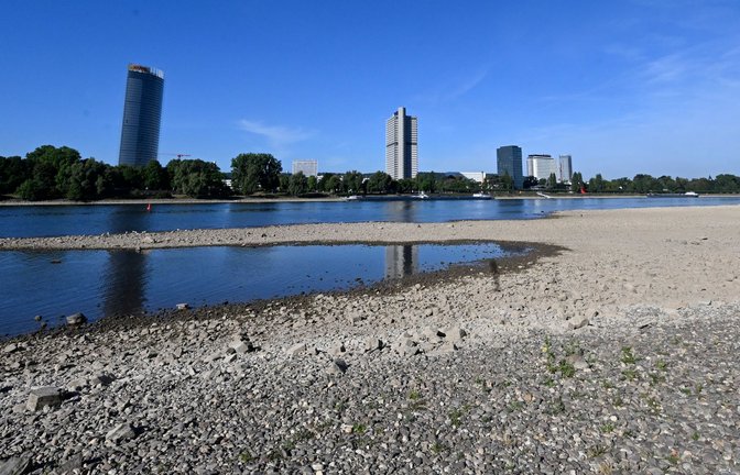 Der Rhein hat derzeit wenig Wasser - so wie hier in Bonn.<span class='image-autor'>Foto: Roberto Pfeil/dpa</span>