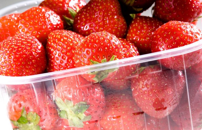 Umweltschutzorganisationen fordern, die Finger von Früherbeeren zu lassen (Symbolfoto)<span class='image-autor'>Foto: imago images/Pascal Broze/Pascal Broze via www.imago-image</span>