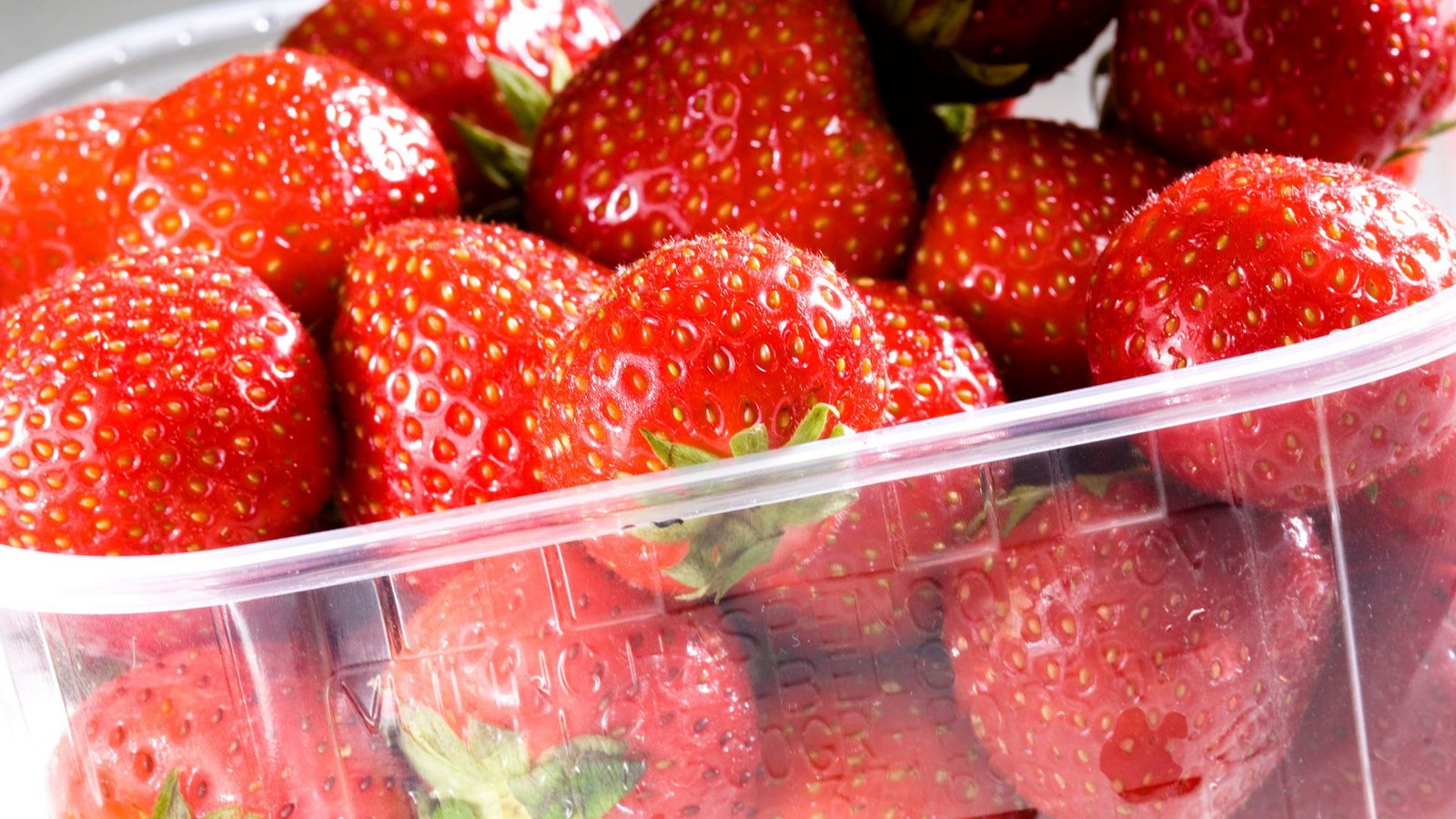 Umweltschutzorganisationen fordern, die Finger von Früherbeeren zu lassen (Symbolfoto)Foto: imago images/Pascal Broze/Pascal Broze via www.imago-image Umweltschutzorganisationen fordern, die Finger von Früherbeeren zu lassen (Symbolfoto)Foto: imago images/Pascal Broze/Pascal Broze via www.imago-image