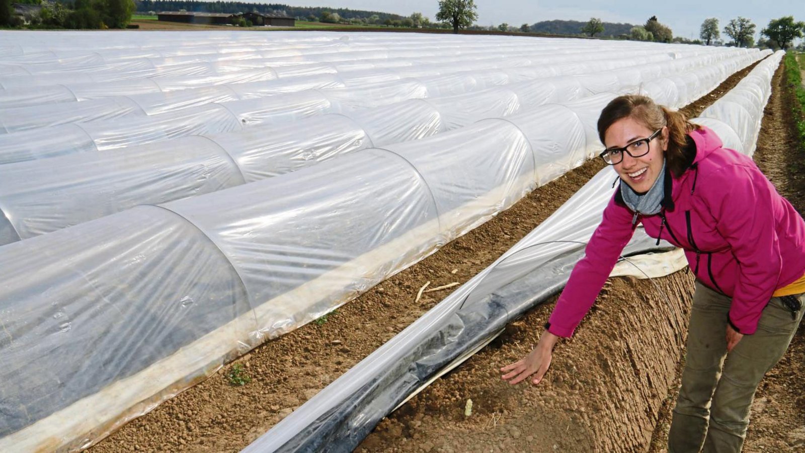 Gut verpackt: Eva Schmid zeigt die zaghaft aus den angehäufelten Reihen herausragenden Spargeltriebe. Auf dem Kleinsachsenheimer Hof hat die Ernte vor drei Wochen begonnen. Fotos: Rieger Gut verpackt: Eva Schmid zeigt die zaghaft aus den angehäufelten Reihen herausragenden Spargeltriebe. Auf dem Kleinsachsenheimer Hof hat die Ernte vor drei Wochen begonnen. Fotos: Rieger