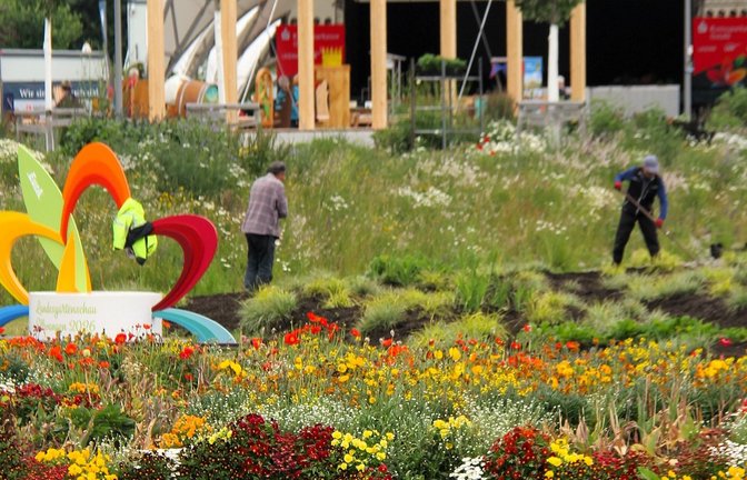 Pflänzchen wechsel dich: Die Frühjahrsblumen weichen aktuell der Sommerbepflanzung.