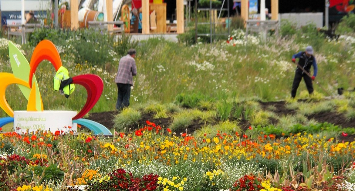 VKZ-Leserreise 2026 zur Gartenschau Ellwangen. Blumen Natur, Renaturierung Jagst. Foto: Kauer Die Frühjahrsblumen werden gegen Sommerbepflanzung ausgetauscht