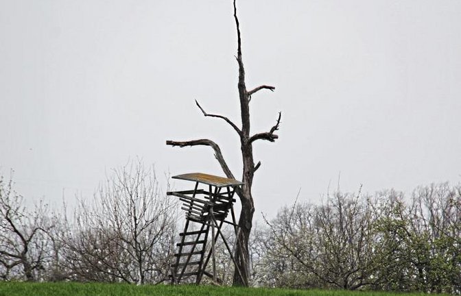 Der Ansitz und der Baum bei Nussdorf erscheinen dem Betrachter fast wie zwei kranke Gestalten, die sich gegenseitig stützen.  Foto: Banholzer