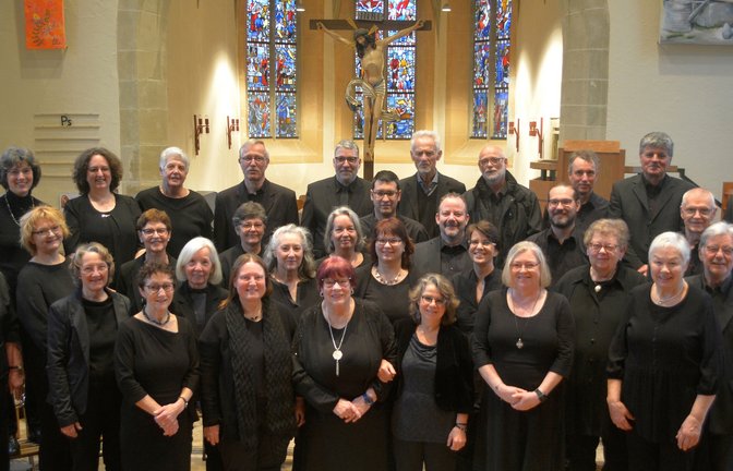 Der Illinger Kirchenchor im Jahr 2024.  <span class='image-autor'>Foto: Stahlfeld</span>