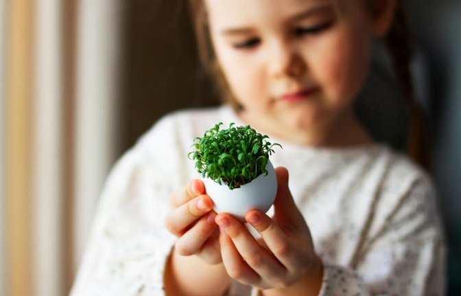 In diesem Artikel zeigen wir Ihnen, wie Sie Kresse mit Kindern anpflanzen und wie Sie dabei vorgehen können. (+ Anleitung)<span class='image-autor'>Foto: Garachshenko Marina / Shutterstock.com</span>