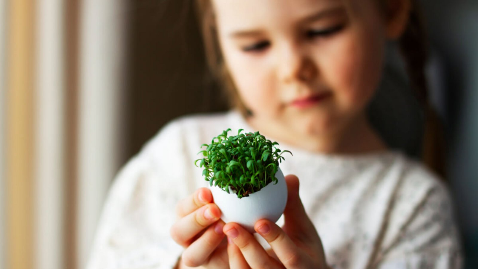 In diesem Artikel zeigen wir Ihnen, wie Sie Kresse mit Kindern anpflanzen und wie Sie dabei vorgehen können. (+ Anleitung)Foto: Garachshenko Marina / Shutterstock.com In diesem Artikel zeigen wir Ihnen, wie Sie Kresse mit Kindern anpflanzen und wie Sie dabei vorgehen können. (+ Anleitung)Foto: Garachshenko Marina / Shutterstock.com
