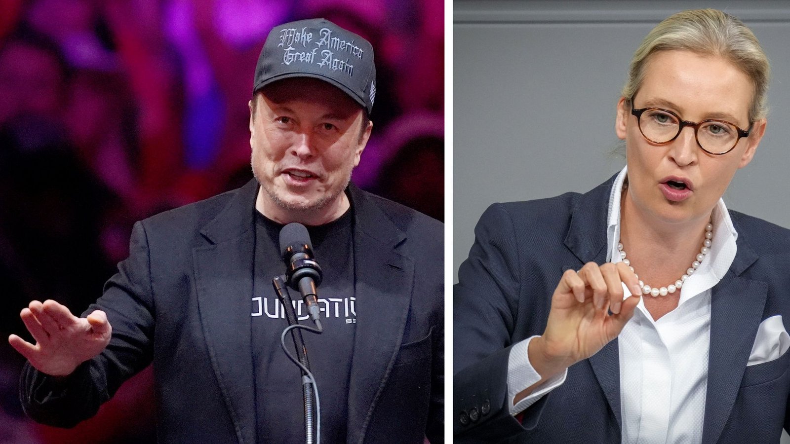 Tech-Milliardär Elon Musk und AfD-Chefin Alice WeidelFoto: Tech-Milliardär Elon Musk und AfD-Chefin Alice WeidelFoto: 