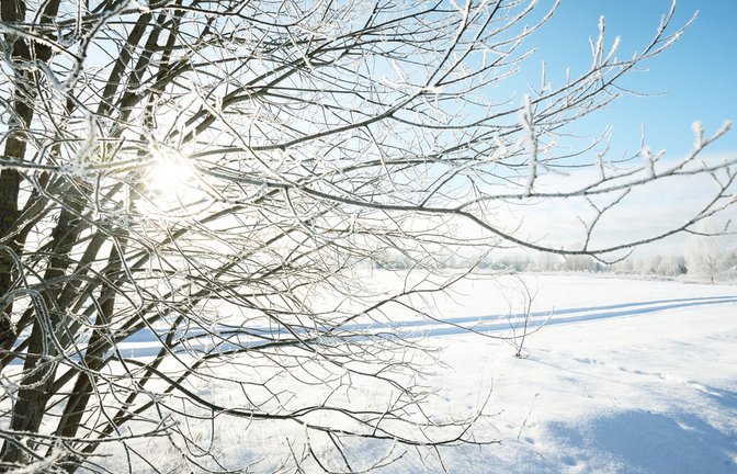 Erfahren Sie, wann das Wetter in Baden-Württemberg wieder besser wird. Aktuelle Vorhersagen, Trends und Tipps für die kommenden Tage.<span class='image-autor'>Foto: Alex Stemmer / Shutterstock.com</span>