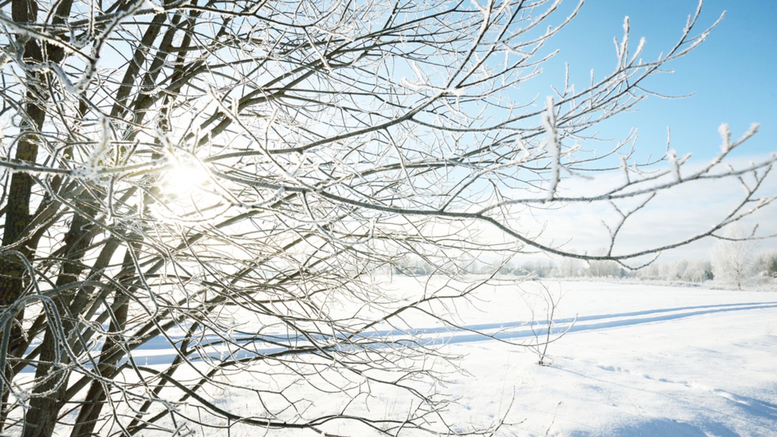 Erfahren Sie, wann das Wetter in Baden-Württemberg wieder besser wird. Aktuelle Vorhersagen, Trends und Tipps für die kommenden Tage.Foto: Alex Stemmer / Shutterstock.com Erfahren Sie, wann das Wetter in Baden-Württemberg wieder besser wird. Aktuelle Vorhersagen, Trends und Tipps für die kommenden Tage.Foto: Alex Stemmer / Shutterstock.com