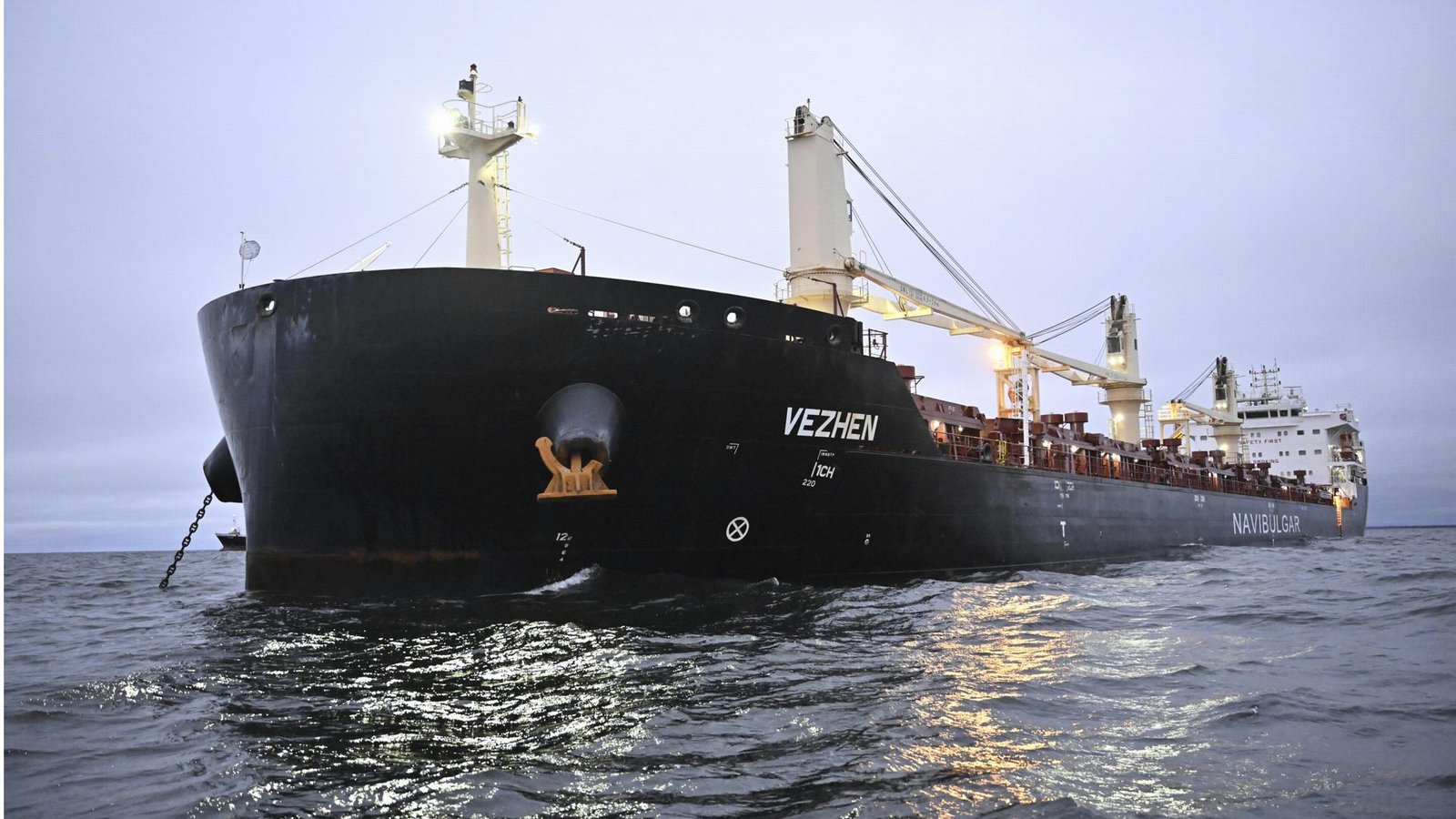 Dieses Schiff wird verdächtigt, mit seinem Anker ein Unterseekabel in der Ostsee beschädigt zu haben.Foto: dpa/Johan Nilsson