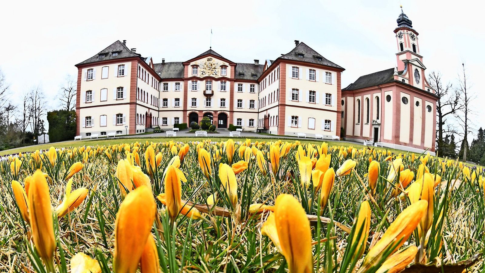 Das Schloss auf der Insel MainauFoto: dpa/Patrick Seeger