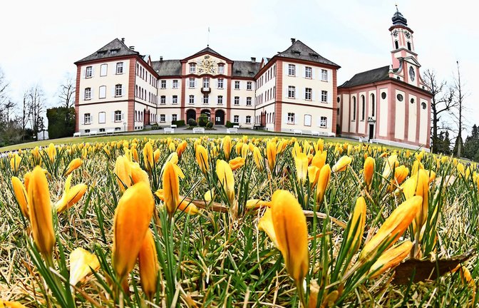 Das Schloss auf der Insel Mainau<span class='image-autor'>Foto: dpa/Patrick Seeger</span>