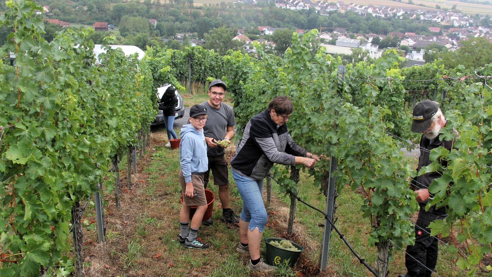 Es geht los: Die Familie Kinzinger (Mitte Michael Kinzinger) steht im Weinberg mit Blick über Enzweihingen. Fotos: Kauer