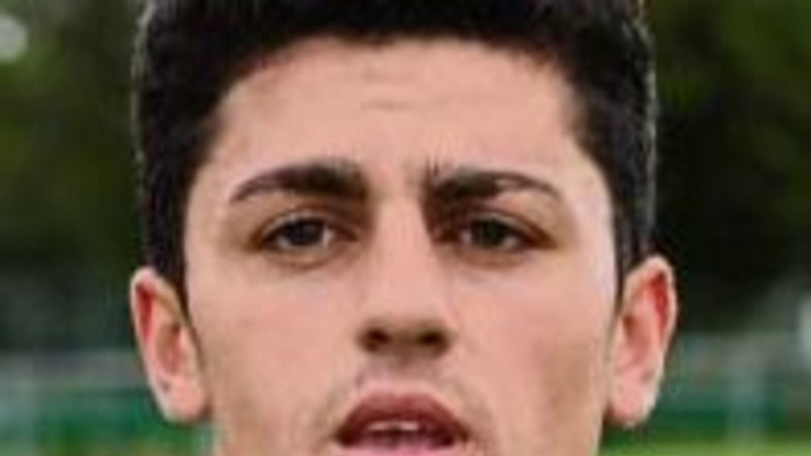 Hakan Atalay, Hakan Atalay,