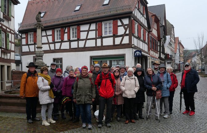 Die Vaihinger Besuchergruppe vor dem Brettener-Hundle-Brunnen. <span class='image-autor'>Foto: Fischer</span>