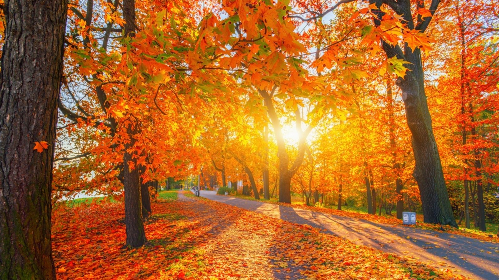 Der Herbst zeigt sich gerade besonders mild.Foto: sun ok / shutterstock.com Der Herbst zeigt sich gerade besonders mild.Foto: sun ok / shutterstock.com